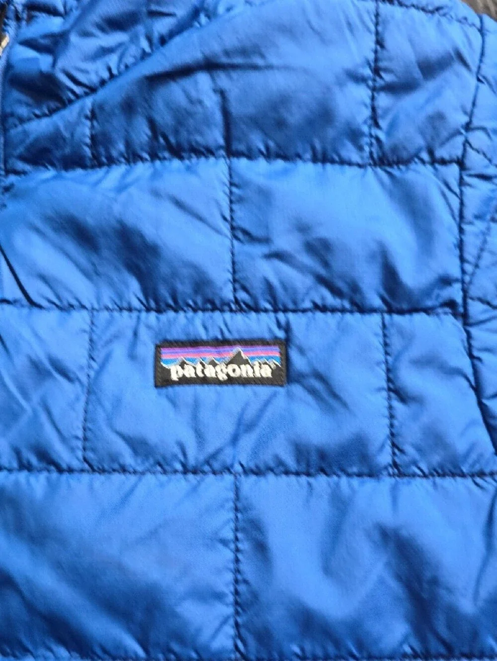 Patagonia Bright Blue Quilted Jacket